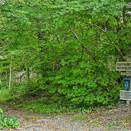 Gold Beach Apartment With Activities - 2 Mi To Ocean エクステリア 写真